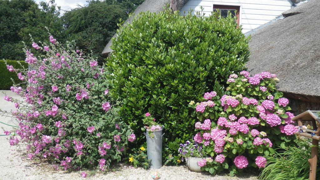 Bed and Breakfast La Musardise à Guérande Extérieur photo